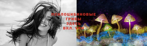 spice Нягань