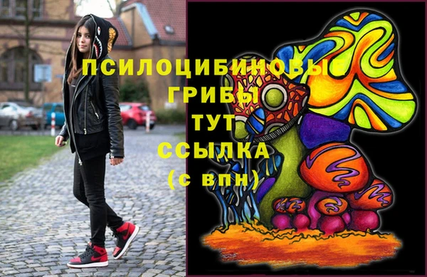 spice Нягань