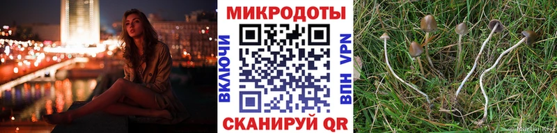 Псилоцибиновые грибы мухоморы Правдинск